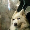 나보다 예쁘개 이미지