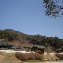 영광연안김씨종택 Daum카페