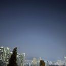 연제구-073 이미지