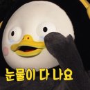 GS정보 이미지