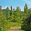 푸른수목원 이미지