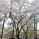 마라톤 이미지