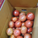 (신)만다린 이미지