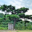 양평해담은집 공인중개사사무소 | 🔥 가격 인하! 뛰어난 주거편의성과 서울 접근성!! 땅 277평 + 별채까지... 옥천면 소재 전원주택!!