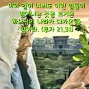 2024-11-29연중 제34주간 금요일＜너희는 이러한 일들이 일어나는 것을 보거든 하느님의 나라가 가까이 온 줄 알아라.＞ 이미지