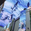 핑크고래 이미지