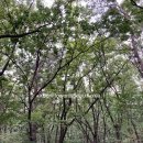 산복약수터 이미지