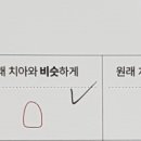 이세상치과기공소 이미지