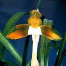 사람과사람 이미지