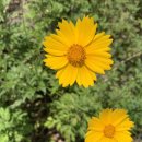 증산세탁소 | 양산 증산 맞춤 케이크/ 오하이케이크에서 미니 도시락 케이크 후기