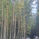 칠천량해전길 이미지