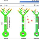 Re:Re:Exploring the Pathogenesis of Alzheimer Disease in Basal Forebrain Cholinergic Neurons: Converging Insights From Alternative Hypotheses 이미지