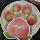 신흥사 | 설악산 케이블카 권금성 후기 요금·주차·신흥사까지 속초 가볼만한곳