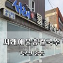 서래애물총칼국수 | 전북 군산 중동 칼국수 맛집 '서래애 물총칼국수' | 동죽칼국수 &amp; 물총탕 내돈내산 후기