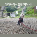 사천운동장 | 사천시 애견운동장 TOP 3 비교 가성비 좋은 선택 비교 정리