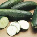 오이 CUCUMBER 이미지