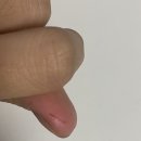 남정제 이미지