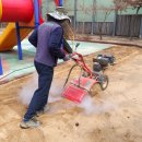 장성초등학교 병설유치원 이미지