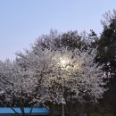 W6. 양가 부모님 첫 인사ㅣ대구 첫 인사 식사 장소ㅣ첫 인사 선물 추천ㅣ바를정과 도라지정과ㅣ내돈내산...