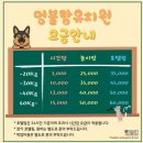 멍블랑 이미지