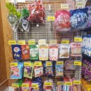 집앞아이스크림할인점 이미지