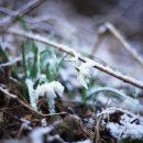 공근 우체국 이미지