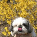 누리종합동물병원 이미지