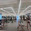 홍프로짐 이미지