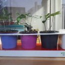 삼밭협동조합 이미지