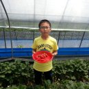 장현농장 이미지