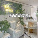 말리꽃펜트하우스 네이버블로그