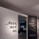 ACC시네마테크 특별강연 | [ACC] 전시 &lt;아랍문자, 예술이 되다&gt; + 전시 연계 교육 프로그램 후기