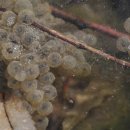 호국원청사 이미지