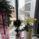 헤어 팡 네이버블로그