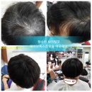 여우멋내기 이미지