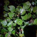 백담주차장 이미지