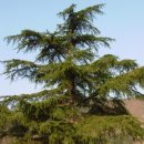 (주)회덕 이미지