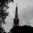 도쿄타워 야경을 담다 이미지