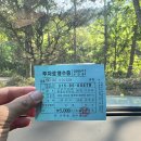 반석민박 | 충북괴산군 화양구곡 물놀이 (25.8.2)