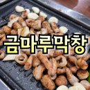 금마루 | 금마루막창 울산 송정점 방문 식사 후기