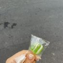 숙이네매운등갈비