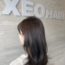 서강헤어샵 | 신촌염색 제오헤어 신촌점 에쉬브라운 신촌역미용실 추천