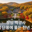 장성터널 | 🍂 장성 백양사: 오색 단풍에 물든 천년 고찰, 마음을 치유하는 가을 산사 여행 🍂