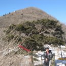 먹고갑시다 이미지