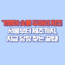 기영이숯불두마리치킨 아산온양점 | 🍗 기영이 숯불 두마리 치킨 매장 찾기(서울 경기 인천 울진 경남 경북 대구 부산 울산 천안 충남 거제...