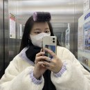 채림목장 | 21.01.17-19 🌴제주 우정 여행(1)🌴 : 우리집아점, 이익새, 알파카 목장, 오설록, etc