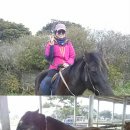 초원을 달리자 이미지