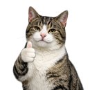 산장 | [제주 카페] 제주 서귀포 카페 친봉산장 후기 | 애견동반 가능한 감성 산장