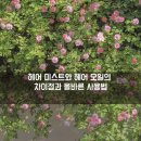 초연미용실 이미지