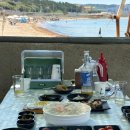 신항만횟집 | 포항 신항만 맛집 코난횟집｜용한리해수욕장 야장 감성, 자연산 활어회 맛집